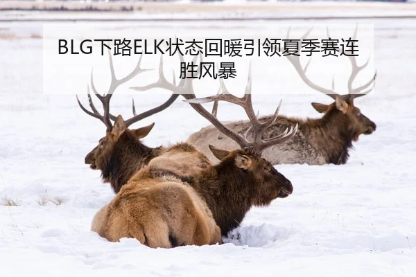 BLG下路ELK状态回暖引领夏季赛连胜风暴